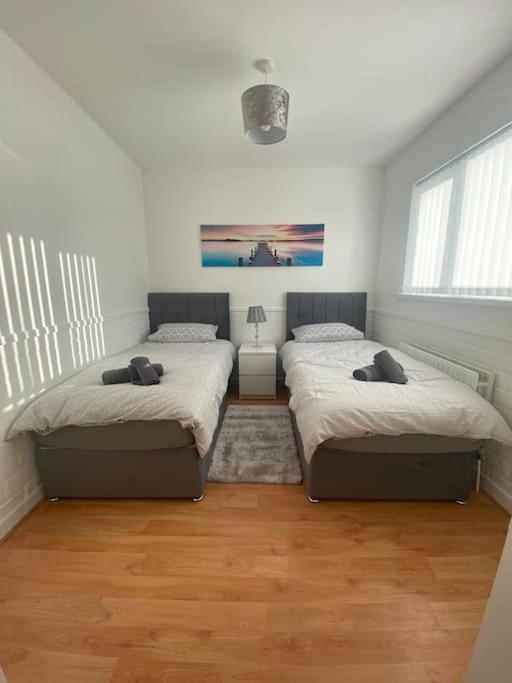Modern Two Bed House Close To City Centre Μπέλφαστ Εξωτερικό φωτογραφία