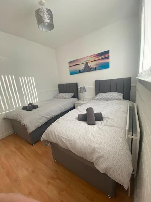 Modern Two Bed House Close To City Centre Μπέλφαστ Εξωτερικό φωτογραφία