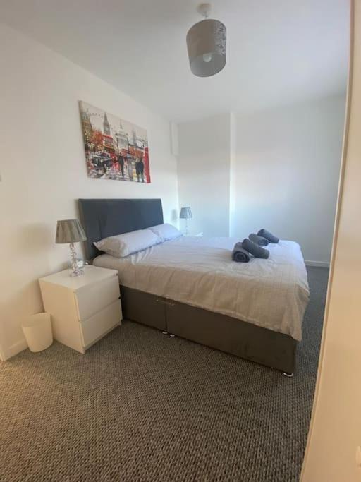 Modern Two Bed House Close To City Centre Μπέλφαστ Εξωτερικό φωτογραφία